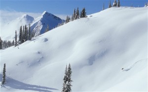 Young man backcountry skiing in Monshee Mountains, Revelstoke, British Columbia, Canada