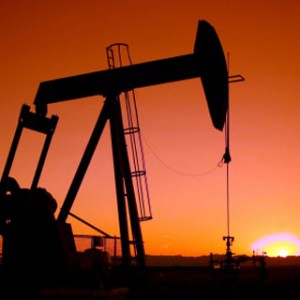 Oil
