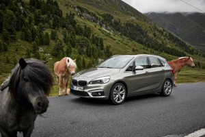BMW 2 Series Active Tourer (30)