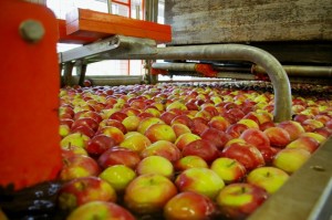 apple