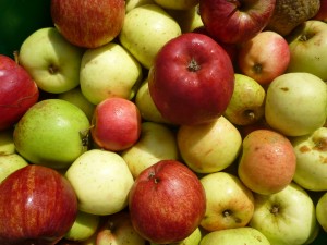 apples (1)