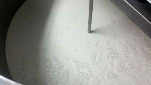 milk