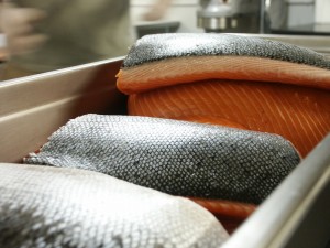 salmon (1)