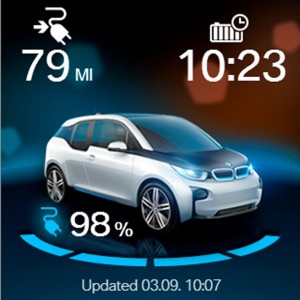 BMW at Paris (13)